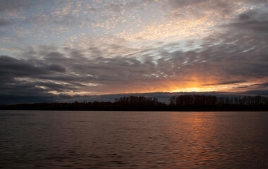 flowers, spring landscape, nature, forest, river, taiga, environment, landscape, flowers, wildflowers, spring flowers, forest flowers