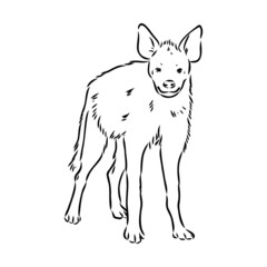 Graphical vintage sketch of hyena ,vector illustration