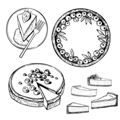 Cheesecake set. Sketch  illustration.