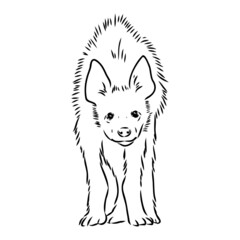 Graphical vintage sketch of hyena ,vector illustration