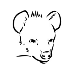 Graphical vintage sketch of hyena ,vector illustration
