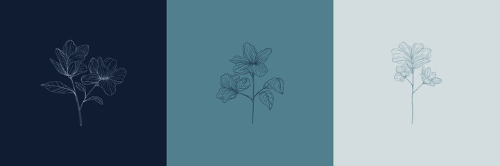flowers creative illustration minimalist line art style