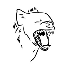 Graphical vintage sketch of hyena ,vector illustration