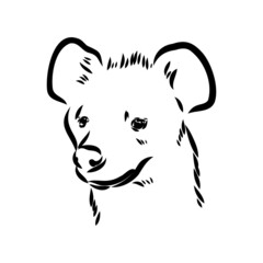 Graphical vintage sketch of hyena ,vector illustration