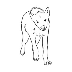 Graphical vintage sketch of hyena ,vector illustration