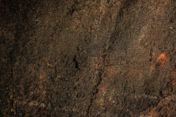 texture of the ground