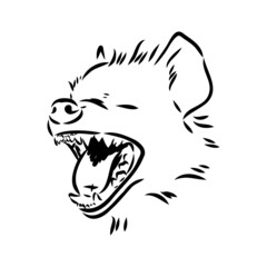 Graphical vintage sketch of hyena ,vector illustration