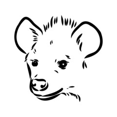 Graphical vintage sketch of hyena ,vector illustration