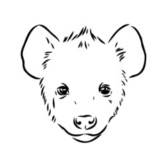 Graphical vintage sketch of hyena ,vector illustration