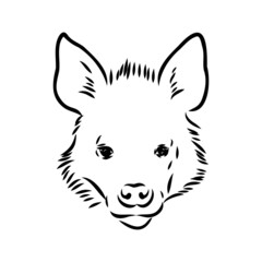 Graphical vintage sketch of hyena ,vector illustration