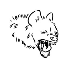 Graphical vintage sketch of hyena ,vector illustration