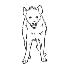 Graphical vintage sketch of hyena ,vector illustration