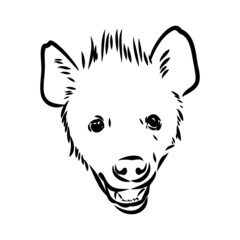 Graphical vintage sketch of hyena ,vector illustration