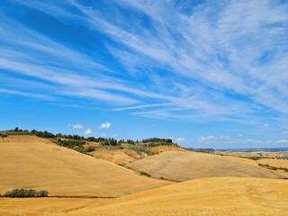 Fototapeta na wymiar summer rural landscape of Lajatico in Tuscany