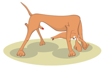 Ready for love. Comic cartoon dog in love	