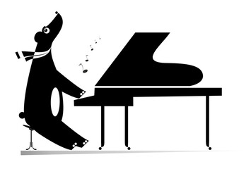 Funny bear a pianist isolated illustration. Cartoon bear is playing music on piano and singing black on white illustration