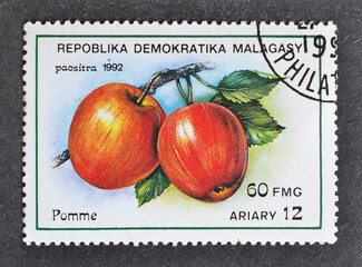 Cancelled postage stamp printed by Malagasy, that shows Apples, circa 1992.