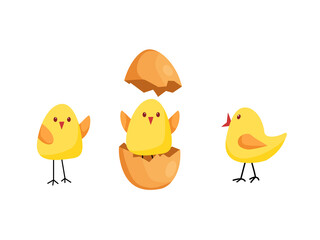 Funny chicks hatched from an egg. The concept of the spring holiday Easter. Vector cartoon illustration