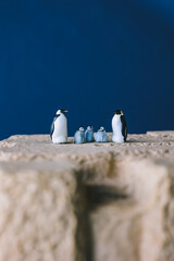 Cute miniature toy penguin colony. Wild animal family.