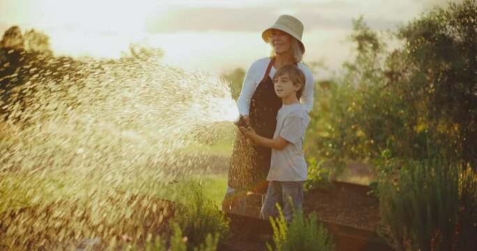 Grandmother and young grandson watering the garden beds at sunset