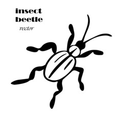 doodle style beetle. Vector black insect in the style of doodles. Simple texture with insects, beetles, parasites, pests. Hand-drawn sketch. top view