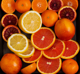 Citrus fruits: oranges, tangerines, lemons, blood oranges, on a dark background. Macro.