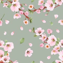 Elegant seamless pattern cherry blossom