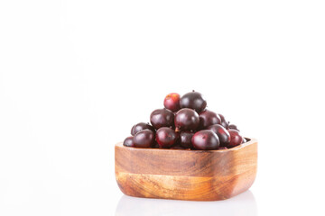 Euterpe oleracea - Acai Fruit Of The Palm Manaca