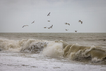 Crashing waves and seagulls in flight at Hastings, East Sussex, England