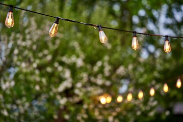 fashionable lamps in the garden shine in the evening during the event