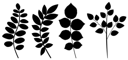 leaves black silhouette on white background, isolated vector
