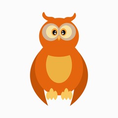 owl on white background
