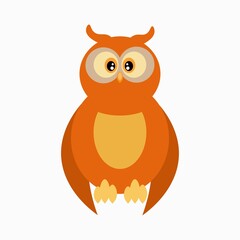 owl on white background