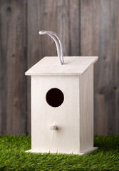 white wooden do it yourself birdhouse for spring activities. grass