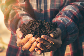 Hand of male holding soil in the hands for planting with copy space for insert text.