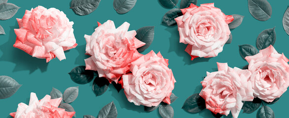 Pink roses with green leaves overhead view - flat lay - obrazy, fototapety, plakaty