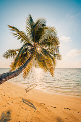 Tropical beach sunset as summer landscape with luxury resort beach swing over sand and calm sea horizon sun rays for sunset beach landscape. Tranquil nature scenic, exotic vacation and summer holiday