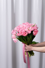 Spring flowers. Bouquet of pink tulips on a gray background. Decoration of flowers and ornamental plants, close-up, objects