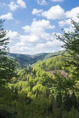 Obraz premium Landscape photography, image Czech Republic. Beskydy. Meadow, in the middle of the woods and mountains, in the background sky with clouds.