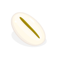 Barley grain isolated on white background. Vector illustration of cereal