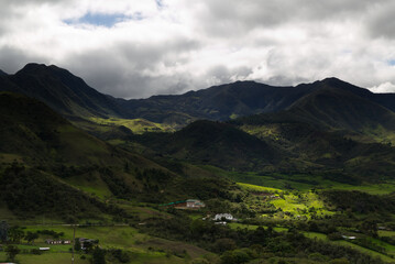 Typical vegetation of the area near Popayan, Colombia