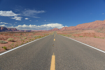 Fototapeta na wymiar Road to grand canyon - Arizona, united states
