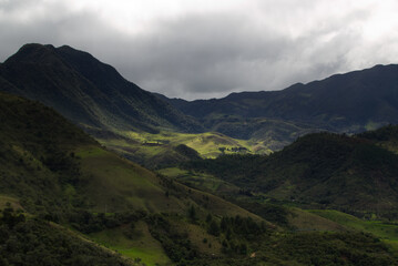 Typical vegetation of the area near Popayan, Colombia