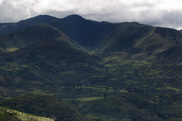 Typical vegetation of the area near Popayan, Colombia