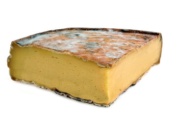 Morceau de fromage français Saint-Nectaire fermier en gros plan sur fond blanc