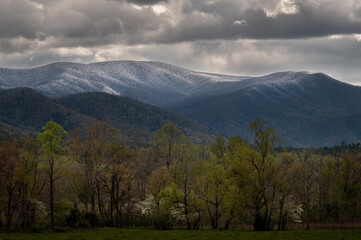Spring Snow, Cades Cove