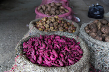 Small purple potatoes at the market in Silvia, Colombia