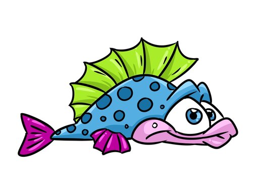 Color fish ruff animal illustration cartoon character isolated