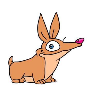 Small dog corgi animal illustration cartoon character isolated