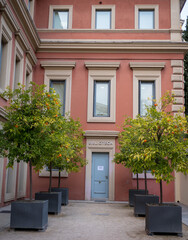 Fototapeta na wymiar Orange trees next to the entrance of a building